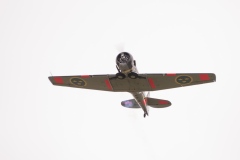 danishairshow201626-563