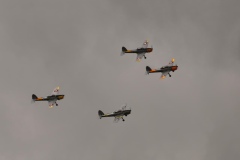 danishairshow201663-600