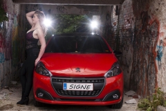 signemeck06081703-741