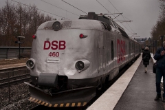 soelvpilen-439